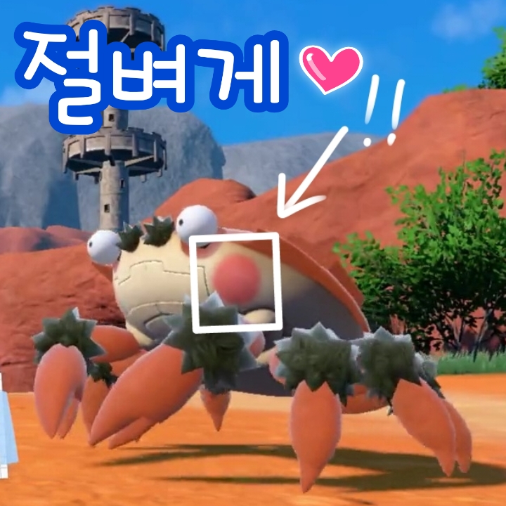  9세대 포켓몬 절벼게 볼터치가 발그레!
