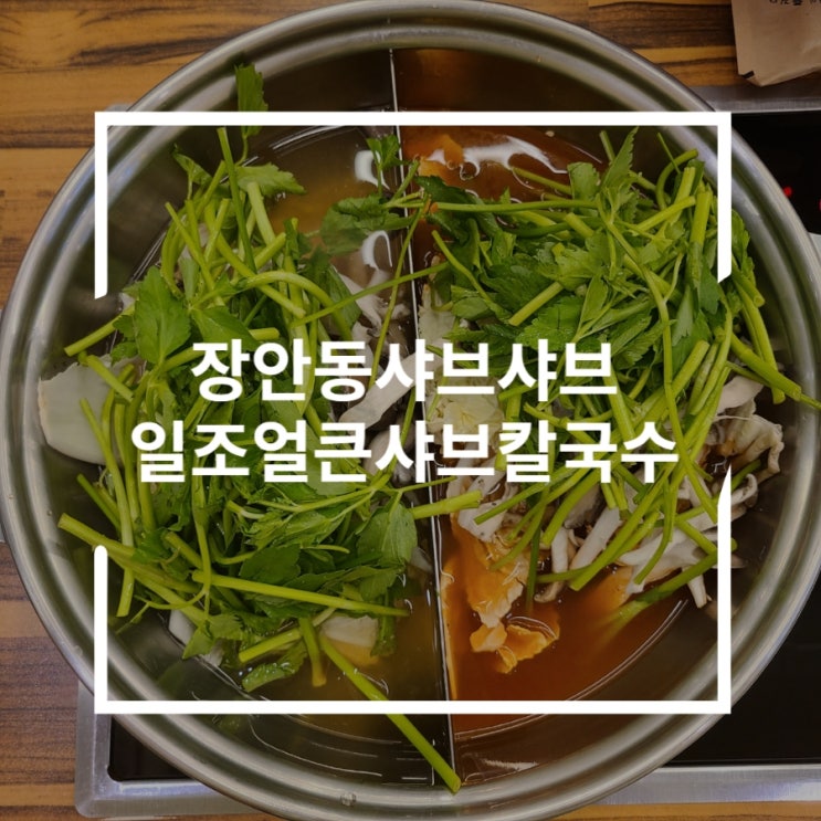  장안동샤브샤브 반반으로 2가지 맛보기 얼큰샤브칼국수