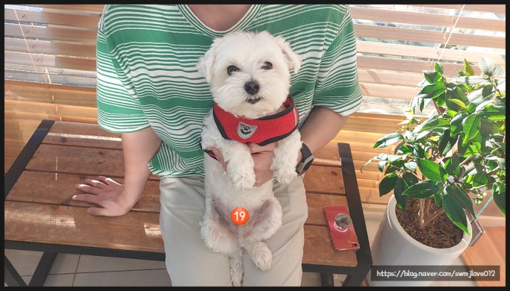  220907 간 수치 재검(채혈검사)