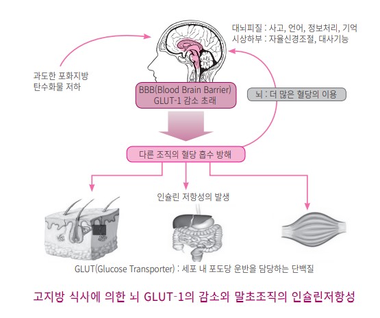  저탄고지, 잘못된 저탄수화물고지방 다이어트(LCHF deit)에 대해서