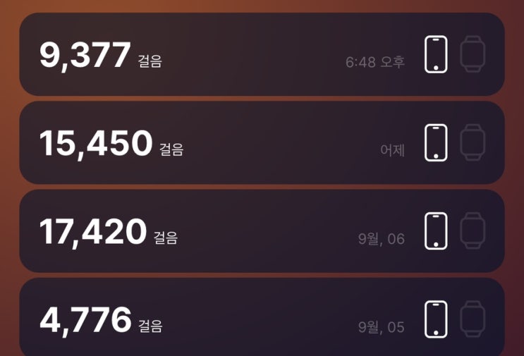  운동