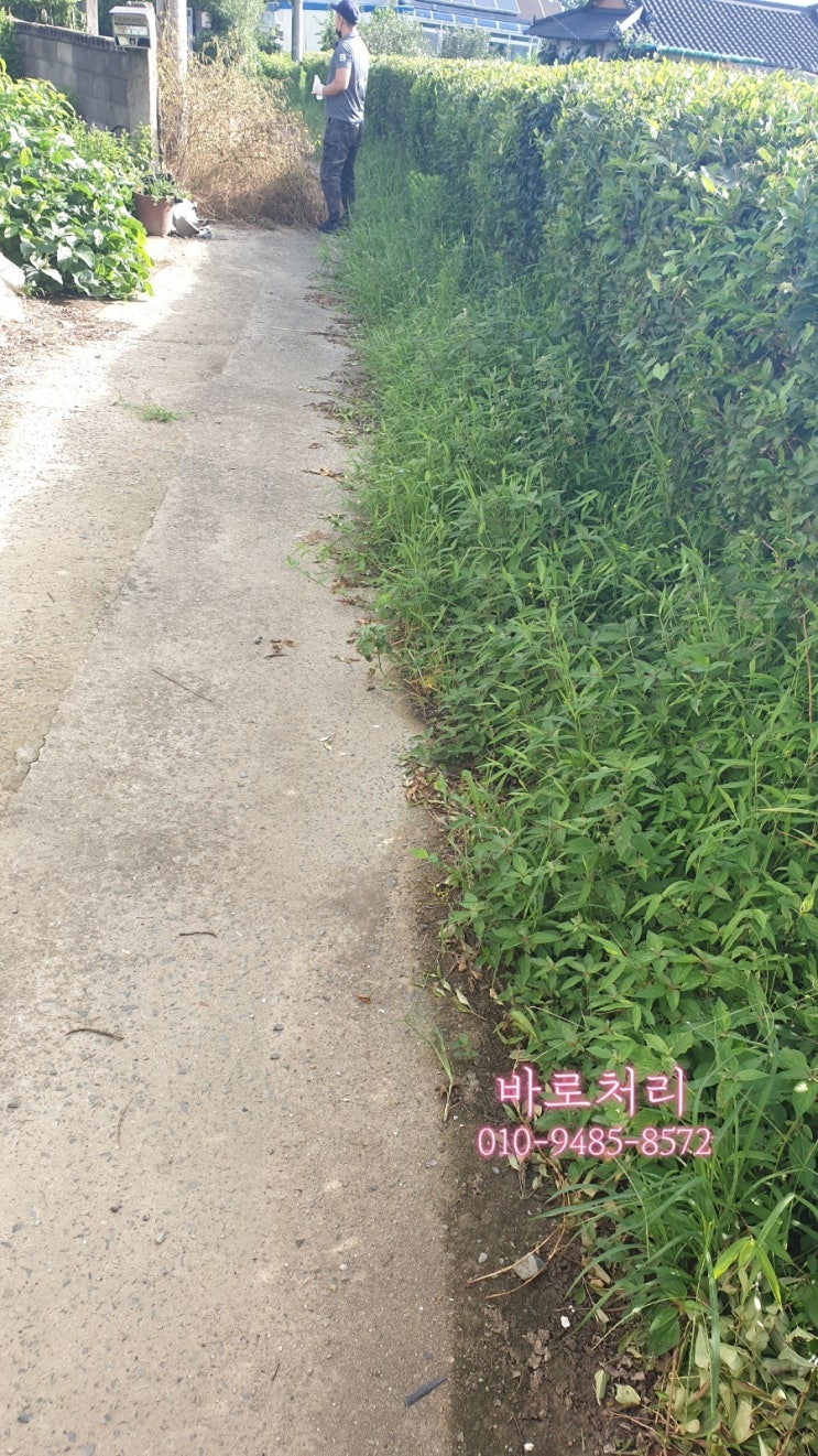  마산.함안.의령.고성.통영.덕산.대산(촌집정리!유품정리!)