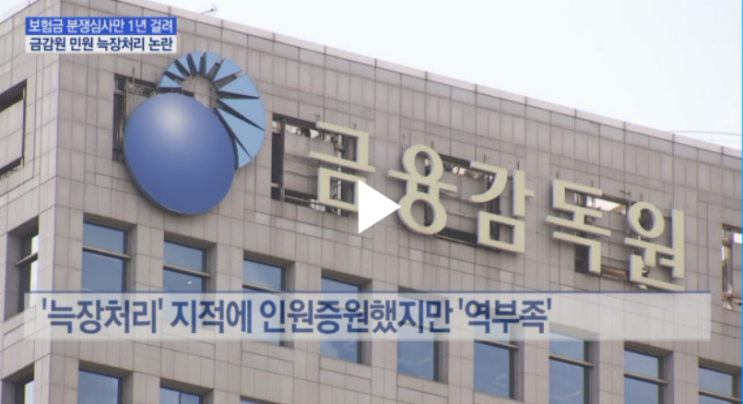 "보험금 분쟁심사 1년 기다려라"…금감원 늑장처리 논란 : MTN뉴스