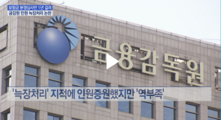 "보험금 분쟁심사 1년 기다려라"…금감원 늑장처리 논란 : MTN뉴스 "보험금 분쟁심사 1년 기다려라"…금감원 늑장처리 논란 : MTN뉴스