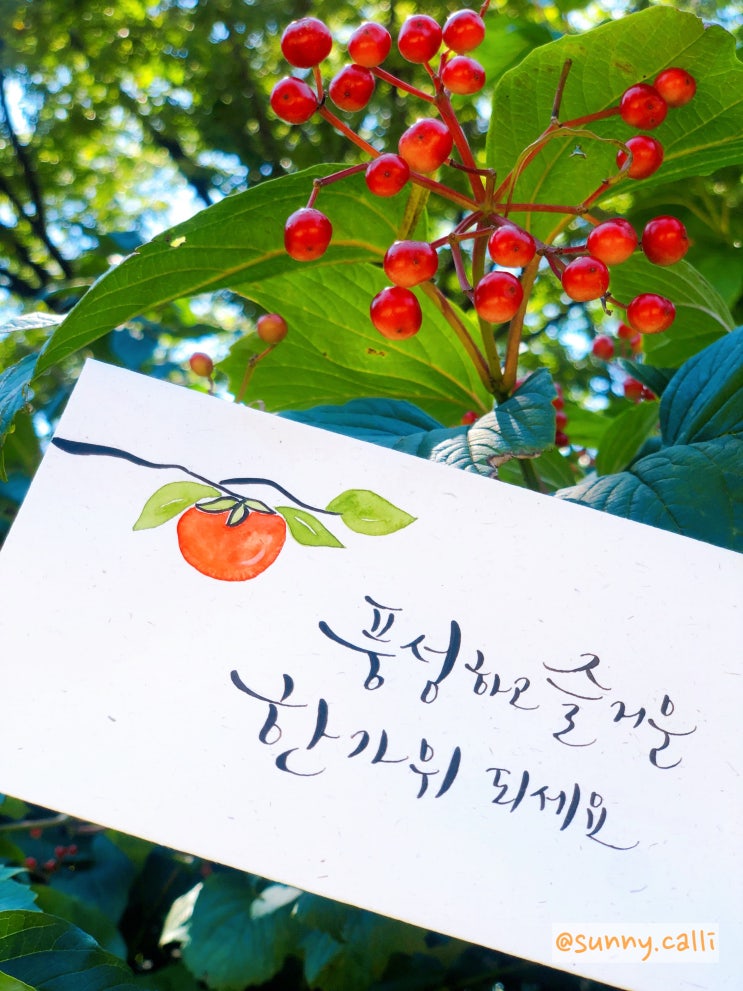  [캘리그라피] 부모님 용돈 봉투 만들었어요