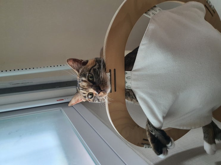  행복한 추석 연휴️