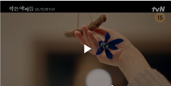 [tvn토일드라마] '작은아씨들' 파란 난초의 의미는?