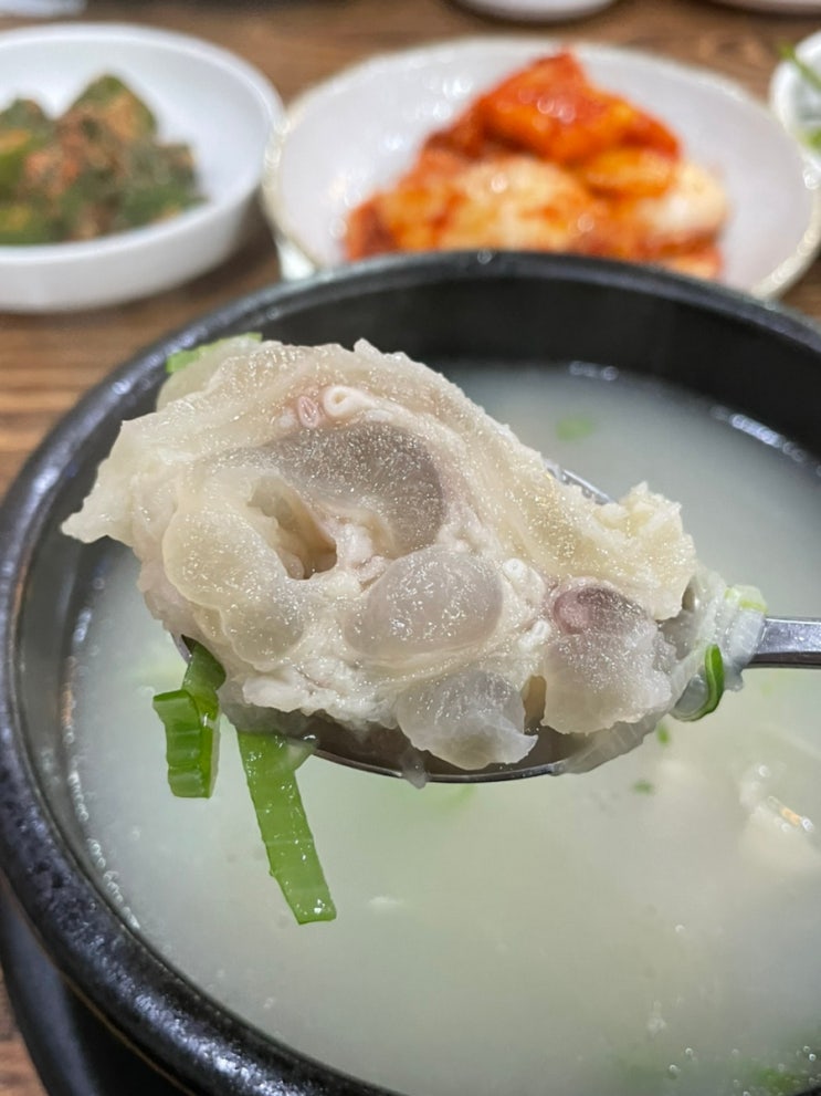  신사: 가로수길 도가니탕 갈비탕 로컬 맛집! - 진미곰탕