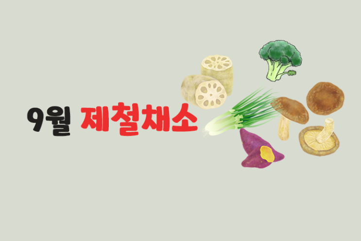  9월 제철 음식 5가지 쪽파,연근,고구마,표고버섯,브로콜리