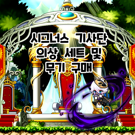  메이플스토리-시그너스 기사단 의상 세트 구매!