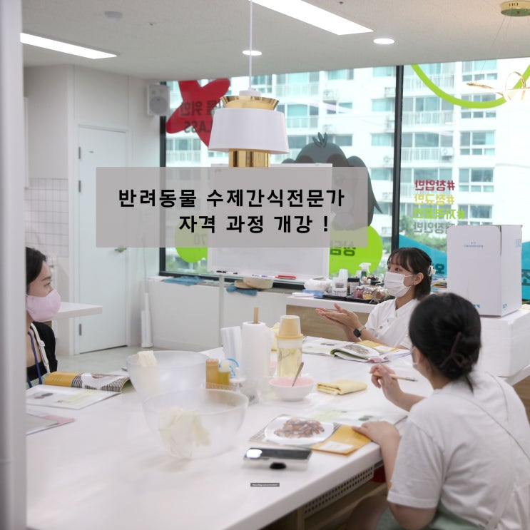  기초 건조 수제간식 배우는 날!
