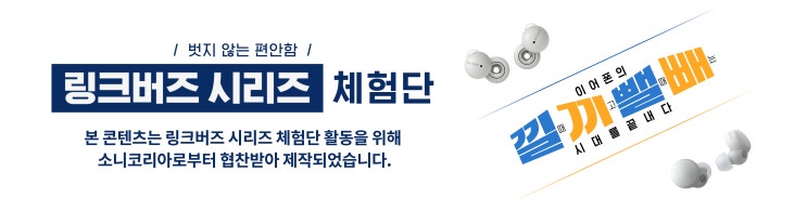  링크버즈로 바뀐 나의 일상 "음악과 소리와 함께"