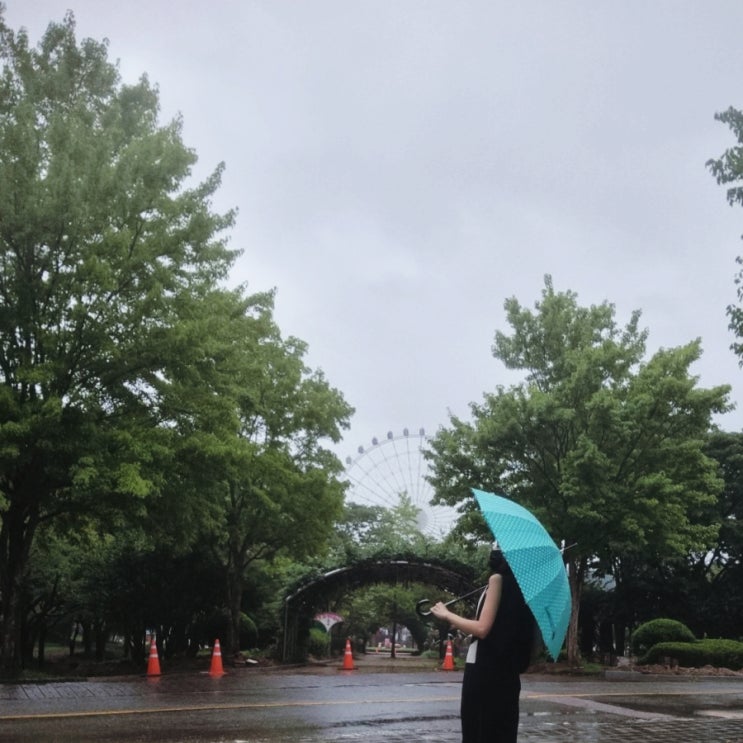  전라도 광주 당일치기 여행코스 우치공원동물원 놀이공원 한우 오마카세 본앤우