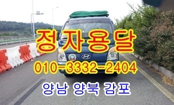 정자용달 양남 양북 감포~콜. 정자용달 양남 양북 감포~콜.