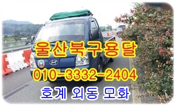 울산북구용달 호계 외동 모화 입실.