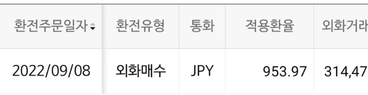  엔화 투자 No.4 출격