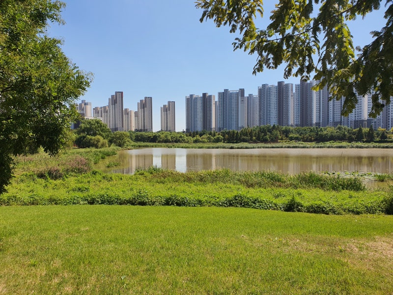 경기도 여행 평택 가볼만한곳 배다리생태공원, 배다리저수지 걷기좋은길 아내와 데이트코스