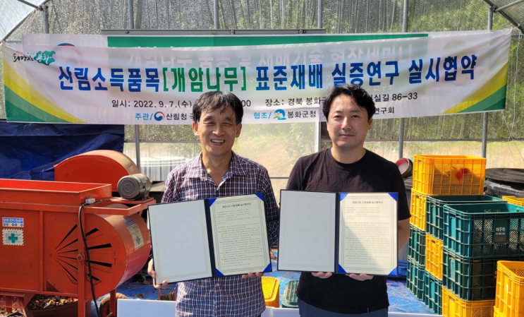 개암나무 헤이즐넛 육성과 보급을 위해 실증적 연구 본격화_산림청 개암나무 헤이즐넛 육성과 보급을 위해 실증적 연구 본격화_산림청