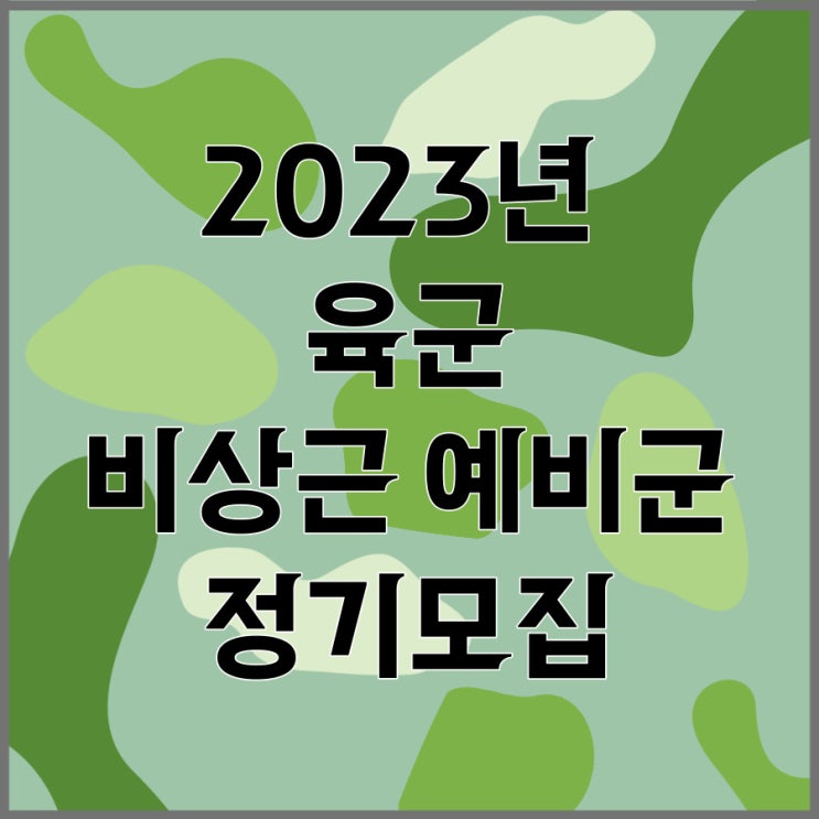 2023년 육군 비상근 예비군 지원하다 (단기 비상근 예비군, 정기모집, 수시모집)
