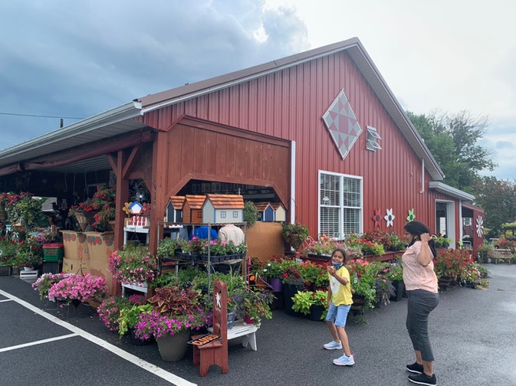 미국 동부 일주일 자동차 여행기 (43) 아미시 마을 The Amish Village 버스 투어 - House, School, Fishers Produce 미국 동부 일주일 자동차 여행기 (43) 아미시 마을 The Amish Village 버스 투어 - House, School, Fishers Produce