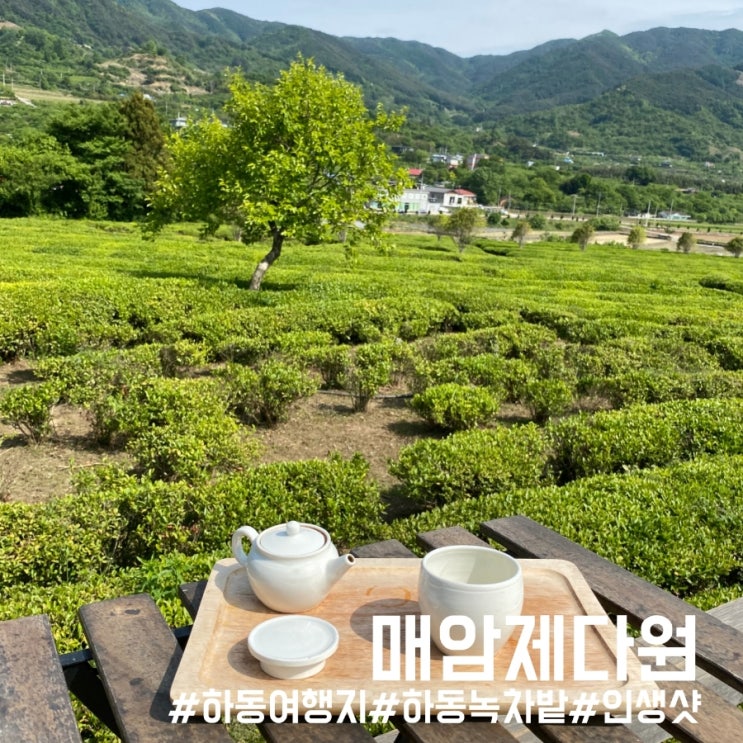  경남 하동 여행/멋진 녹차밭 뷰가 이쁜 사진 찍기 좋은 곳 매암제다원!