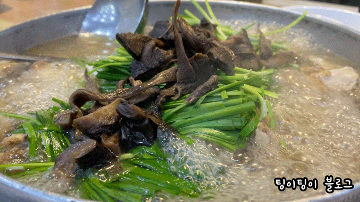  파주 금촌 능이백숙 맛집 내돈내산