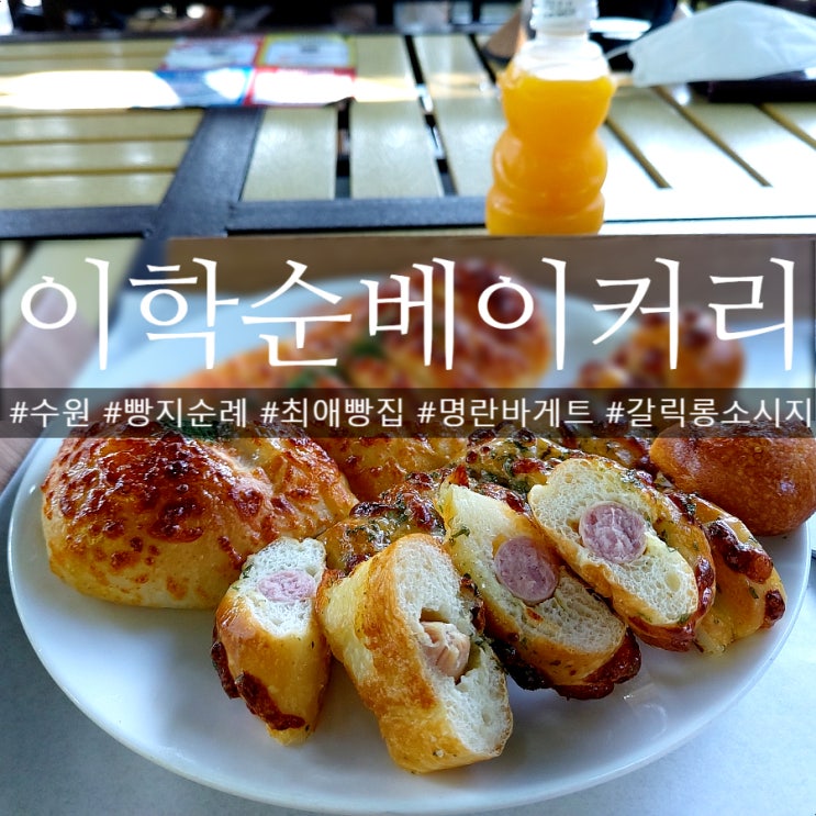  빵지순례 최애카페 이학순베이커리 수원본점 애견동반 가능