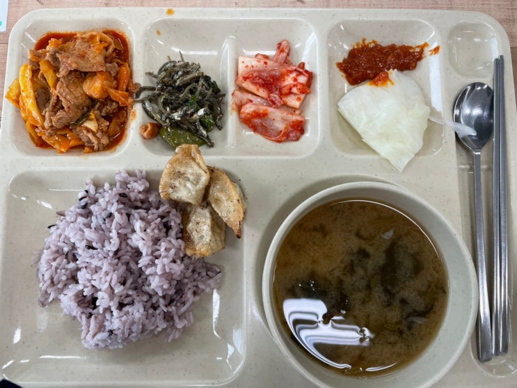  9월 둘째주 정은귤의 주간일기 - [급식일기/추석선물/플스5 귀멸의칼날 히노카미혈풍담/속리산문장대/요기보 프로맥스 서포트오리지널]