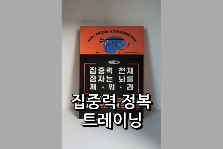  집중력 천재 잠자는 뇌를 깨워라 상위 0.1% 두뇌 트레이닝 비법