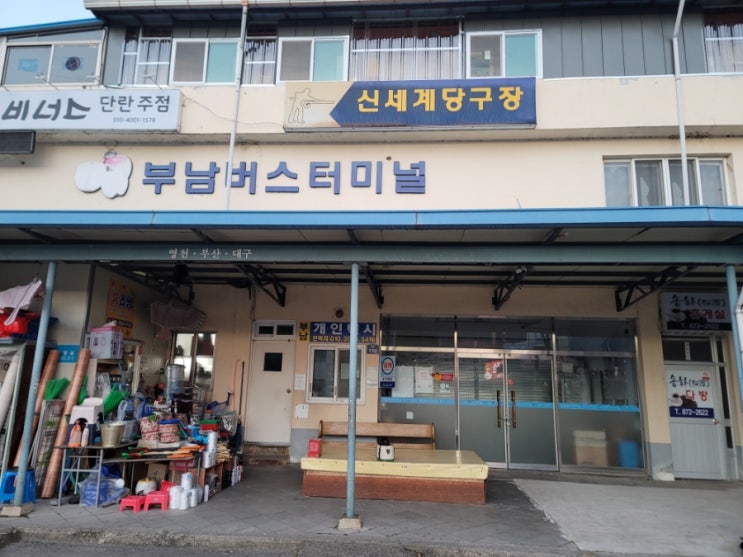  (소소한 일상) 청송 부남에서 대구 용계까지, 버스타고 나홀로 집에