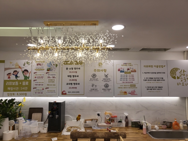 수원 리프패럿 권선점 호텔링