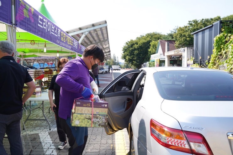 2022 입장거봉포도 홍보·판촉전 드라이브스루 입장거봉포도판매장 | 천안시청페이스북