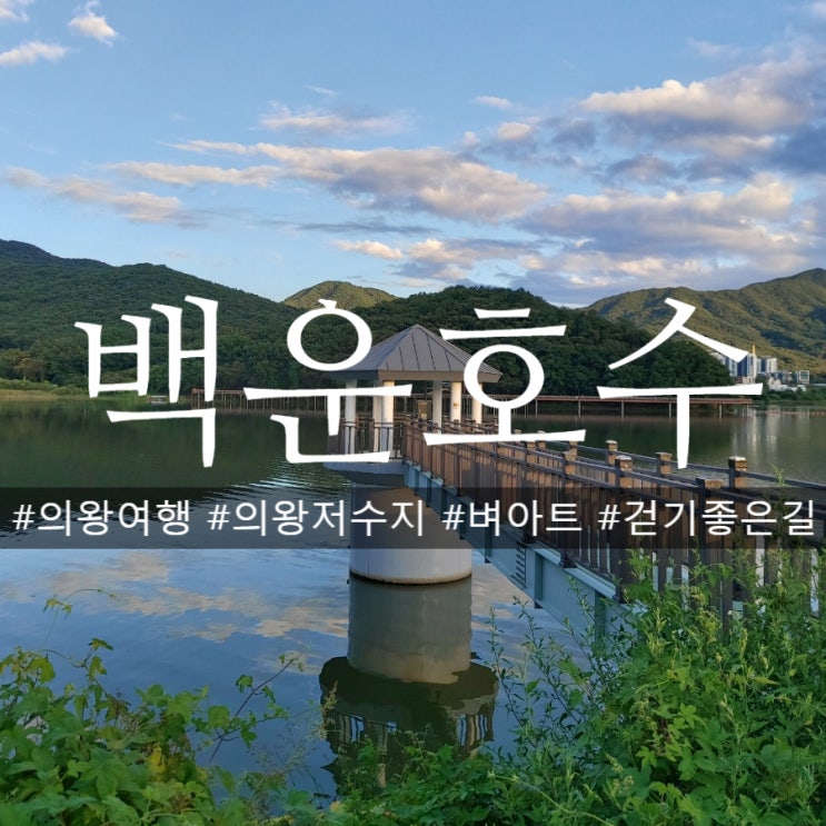  의왕저수지 유색벼아트 보며 백운호수 둘레길