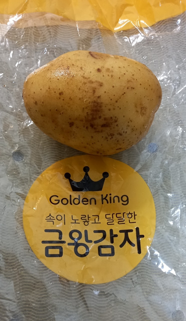  신상야채 골든킹 금왕감자 23년만에 나온 국산품종