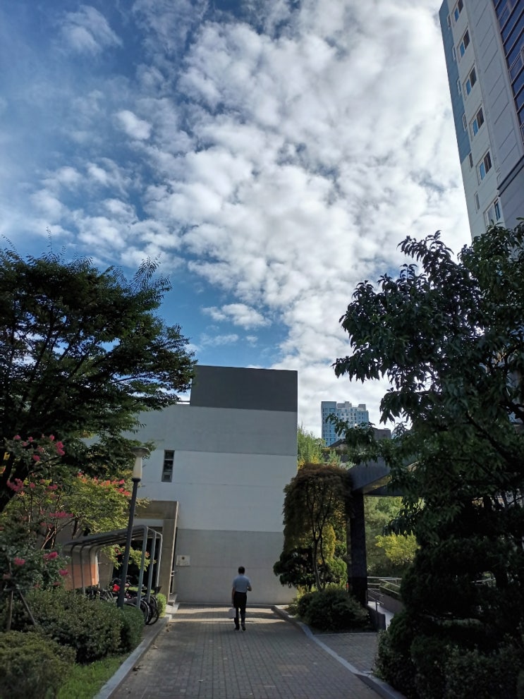  구름속으로