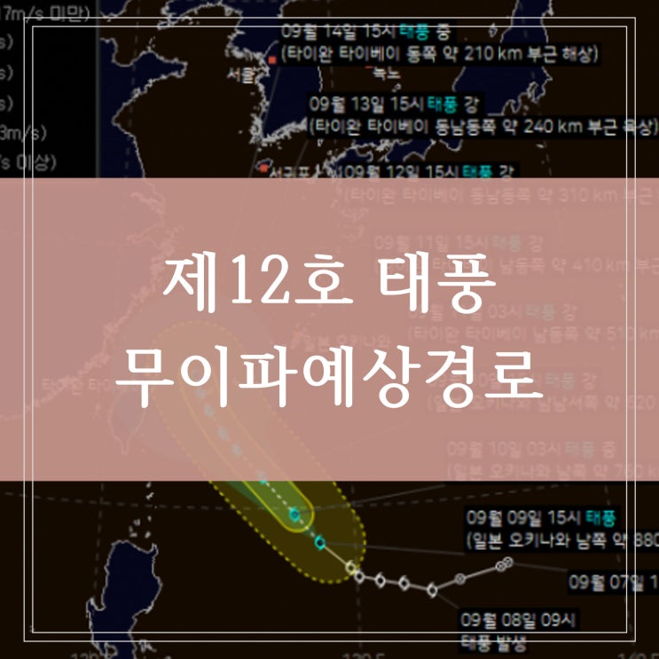  2022 태풍 무이파 제12호 각 나라 기상청 예측 경로