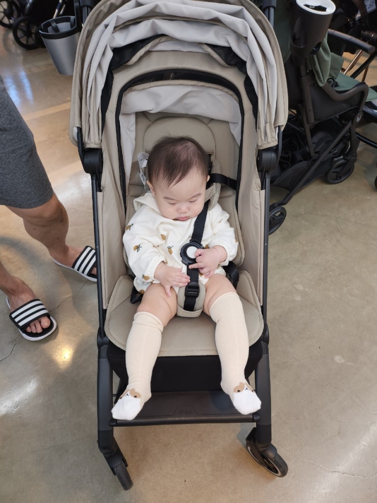  9월 둘째 주 일기 다산베이비플러스에서 미소의 휴대용 유모차 비교 후 구매