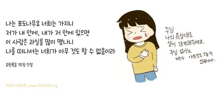 여호와 새일교회 이미지