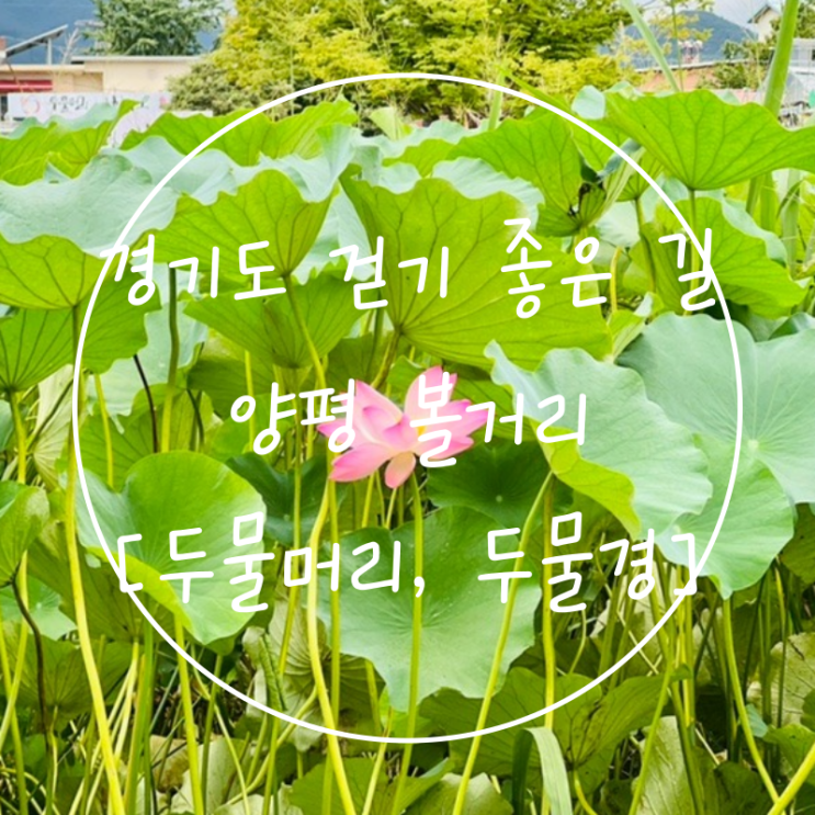  경기도 걷기좋은길 놀러갈만한곳 양평볼거리 '두물머리'
