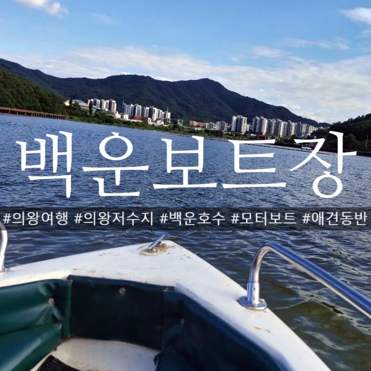 의왕저수지 백운호수 보트장 액티비티 강아지랑 모터보트 타기