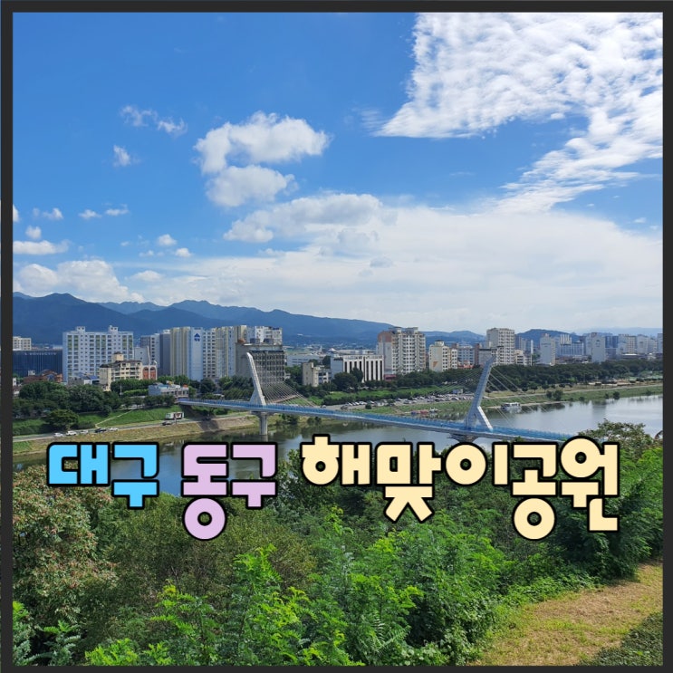  대구 해맞이공원 가을에 산책하기 좋은곳 (주차정보)