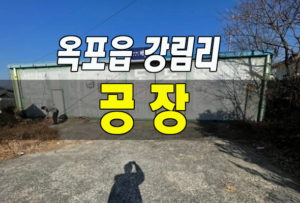 대구 달성군 옥포읍 강림리 공장경매 2022타경30362 대구 달성군 옥포읍 강림리 공장경매 2022타경30362
