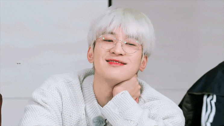  안녕하세요, 캐럿입니다c(세븐틴 원우 입덕일기)