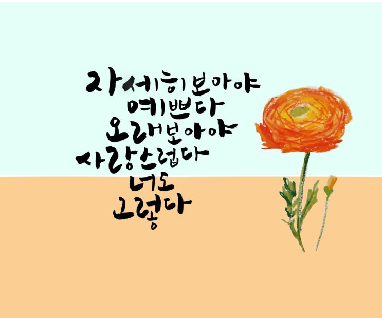  [도드캘리]풀꽃
