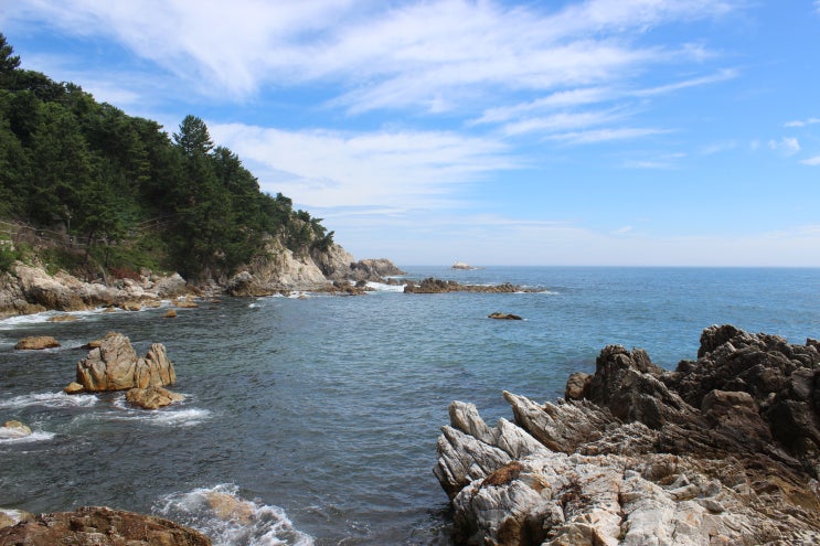  삼척(해신당공원) 여행