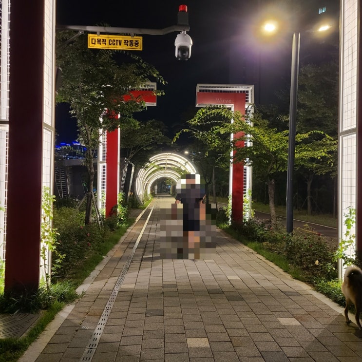 9월 초 위례호수공원 밤 산책 (장미공원)