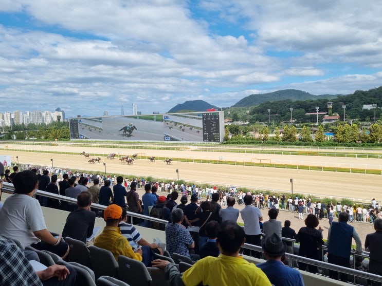  2022년 9월 둘째 주의 주간 일기(0903~0910)/닭갈비 / 경마장/ 잘 가라 룸메 / 캠핑 준비 / 물떡 / 추석