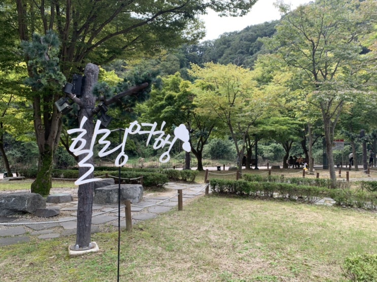  강원도 원주 여행 가볼만한곳  소금산 울렁다리 출렁다리 휴장일 주차