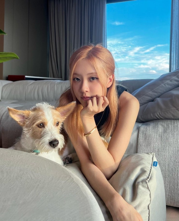 'K-걸그룹 슬렌더' 블랙핑크 로제, 반려견과 함께 하는 금발의 미녀...천상의 아이돌 아우라로 슬렌더 정석 'K-걸그룹 슬렌더' 블랙핑크 로제, 반려견과 함께 하는 금발의 미녀...천상의 아이돌 아우라로 슬렌더 정석
