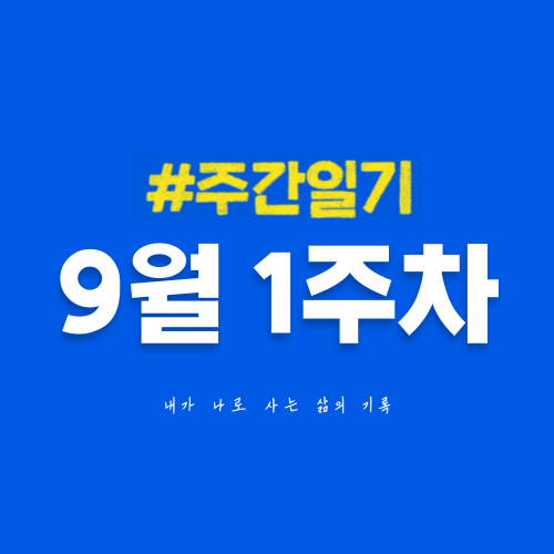  9월 1주차 | 분명 지난주에 1주차를 쓴 것 같사옵니다만?